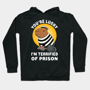 You're lucky I'm terrified of prison Capybara Jail Hoodie